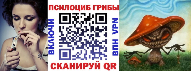 darknet клад Салехард Псилоцибиновые грибы Magic Shrooms